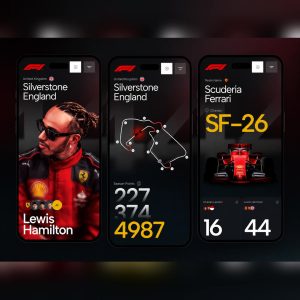 F1 Racing Hub