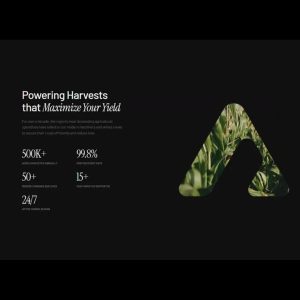 Arceage Stats