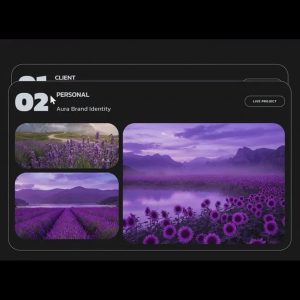 Projects Catalog