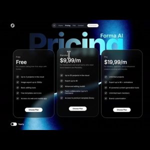 SaaS Pricing Flow