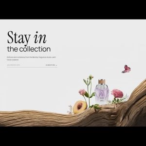 Editorial Collection CTA