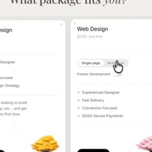 What Package Fits You