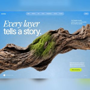 Data Storytelling