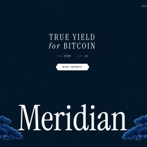 پیش‌نمایش قالب سایت آماده «Bitcoin Yield»