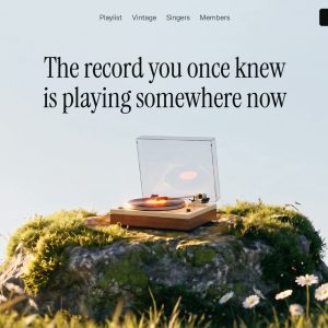 پیش‌نمایش قالب سایت آماده «Vinyl»