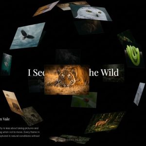پیش‌نمایش قالب سایت آماده «Nature Portfolio»